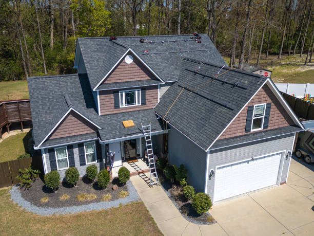 Roof Moss and Algae Removal in Inwood, FL